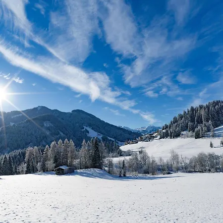 Alpine Vicky Apartmán Wildschoenau